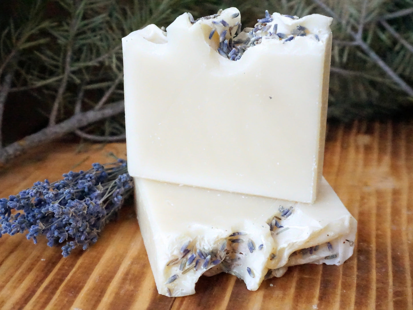 Larimer Street Lavender